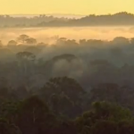 In-App Video: Illustrating Climate Tipping Points